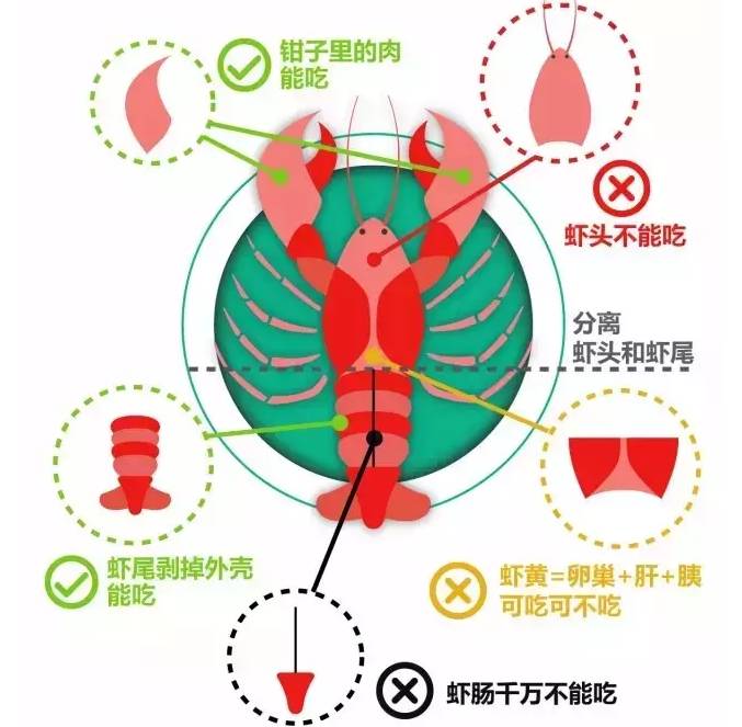 吃小龙虾后接病危通知书,武汉小龙虾背后的"水"多深?
