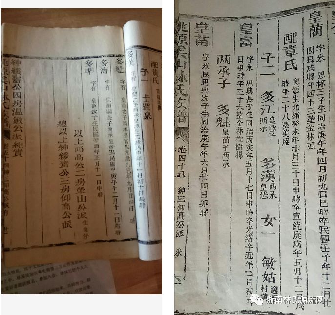 【林氏字辈大数据】马来西亚宗亲跨国寻根中显成效 图4