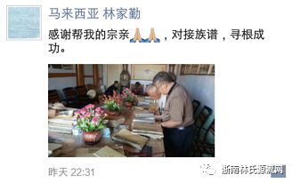 【林氏字辈大数据】马来西亚宗亲跨国寻根中显成效 图5