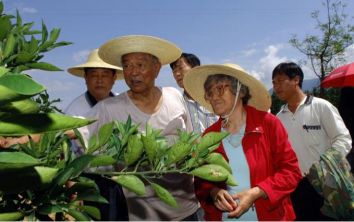 褚时健背后的女人!马静芬:褚橙的成功有她的一半