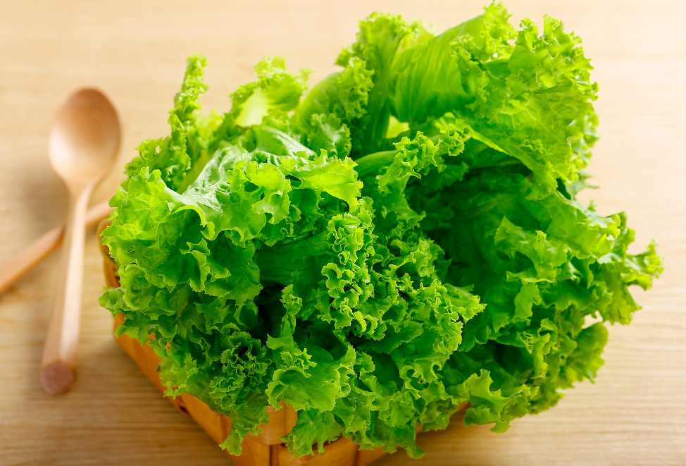 一把绿叶菜有多少养生功效春天记得吃这几种蔬菜