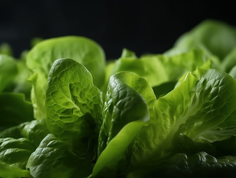 一把绿叶菜有多少养生功效春天记得吃这几种蔬菜