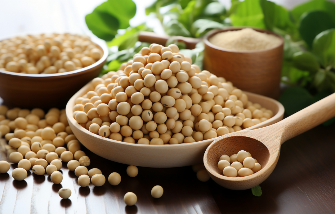 健康中国,营养先行丨大豆都有哪些营养?