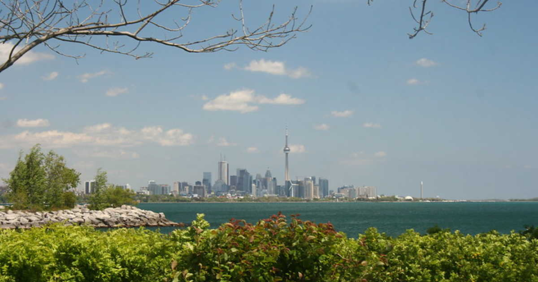 加拿大自雇移民资讯：多伦多推出疫情热点地图