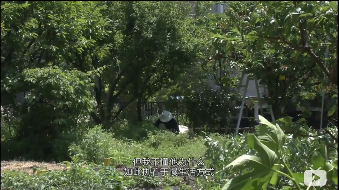 ��������9.5���������һĻ�������˶����ˡ���