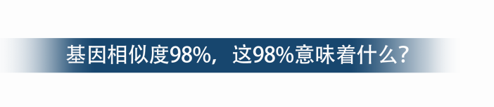 养了20年三文鱼丨优质海鳟鱼如何变成更高纯度的纯净PDRN？