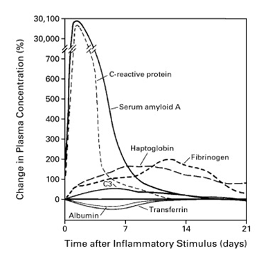 检验科的新三大常规saa