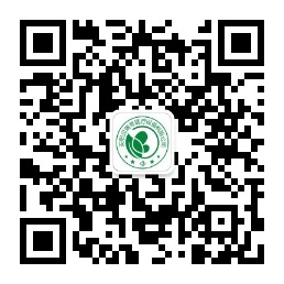 什么是费城颈托脊柱矫形器知识(一)_https://www.jmylbn.com_新闻资讯_第4张