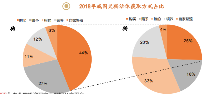 宠物经验心得_宠物心得技能_心得宠物经验分享