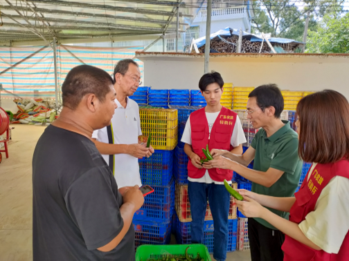 ▲ 在蔬菜加工与保鲜物流加工厂