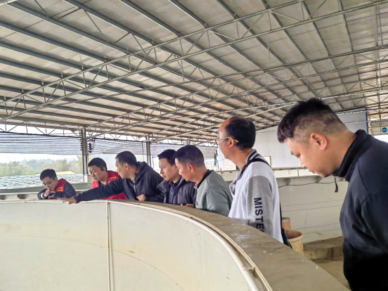 渔业“轻骑兵”前往英德市指导加州鲈乌鳢健康生态养殖