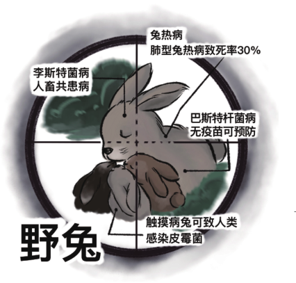 澳人注意！看到这些野生动物千万别碰，有人被抓伤出现不良症状（组图） - 5