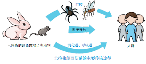澳人注意！看到这些野生动物千万别碰，有人被抓伤出现不良症状（组图） - 4