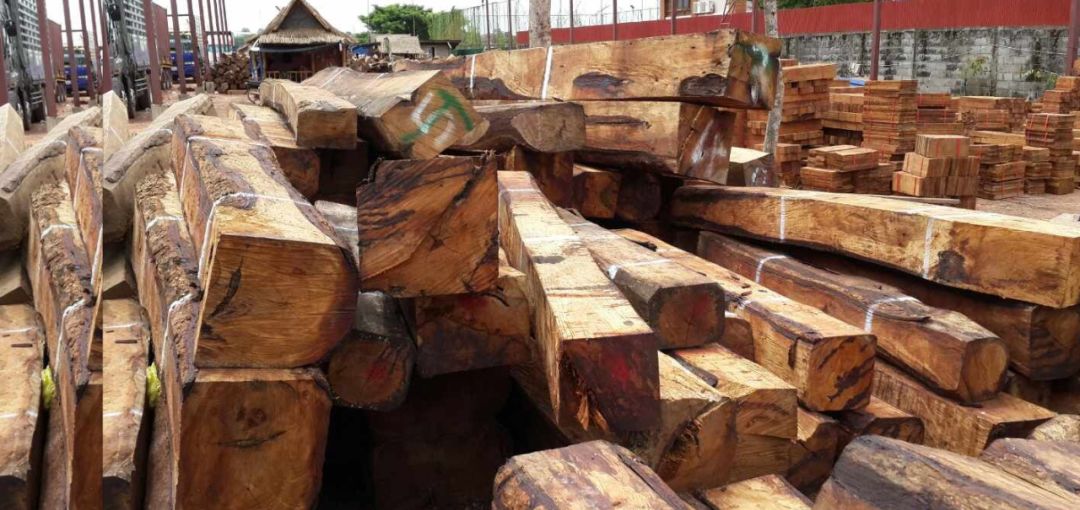 大果紫檀、鸟足紫檀、越柬紫檀他们原来是一家人！