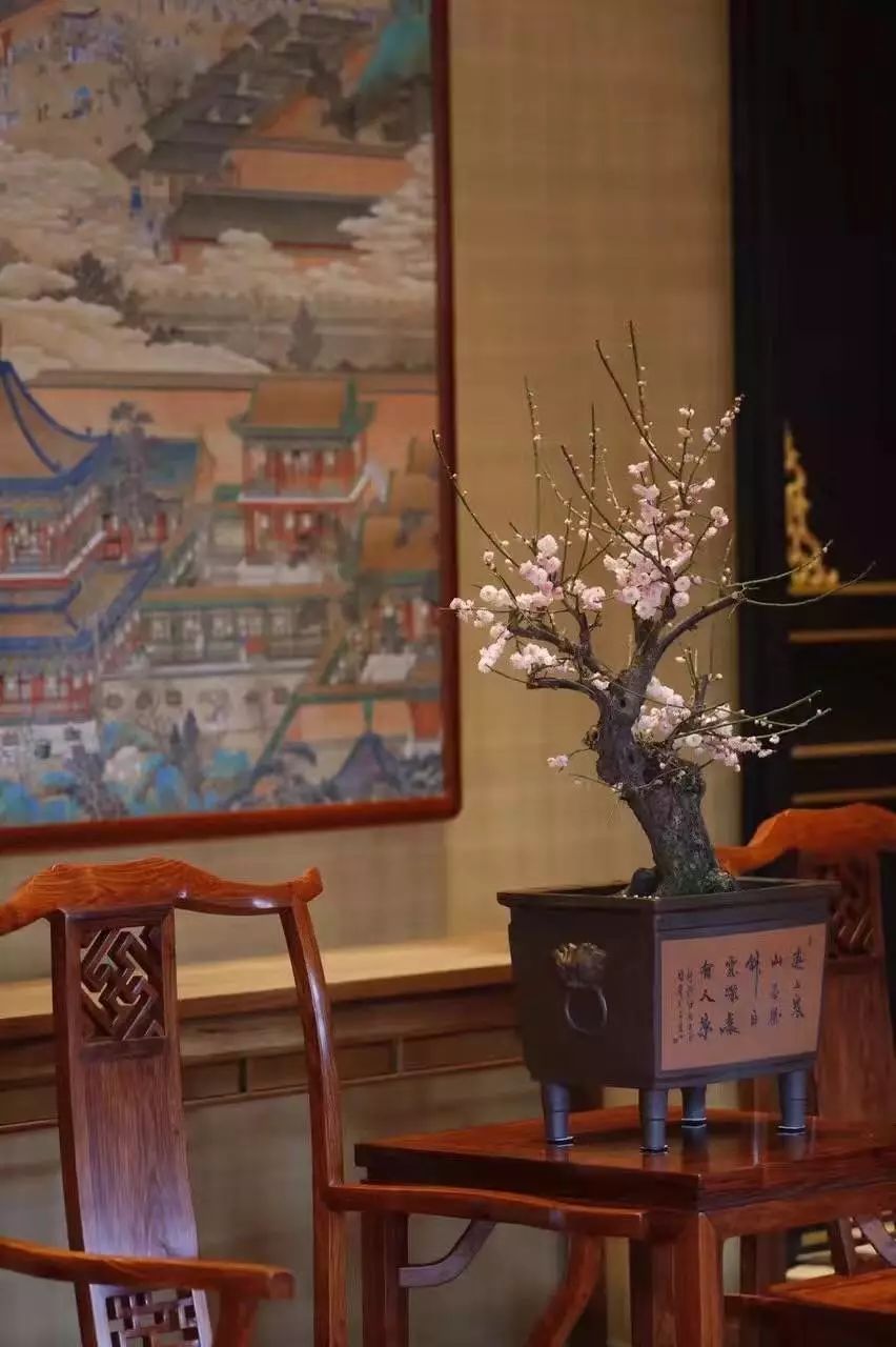 红木家具防开裂攻略！