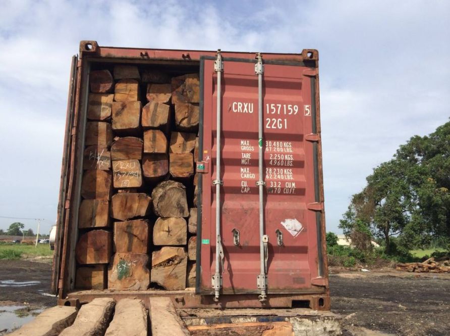 说得很透切！缅甸花梨的“替身”们纷纷露出水面