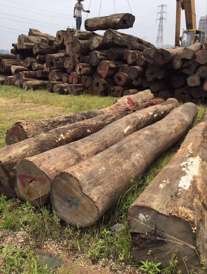 缅甸花梨正当红，为你揭开“面纱”！