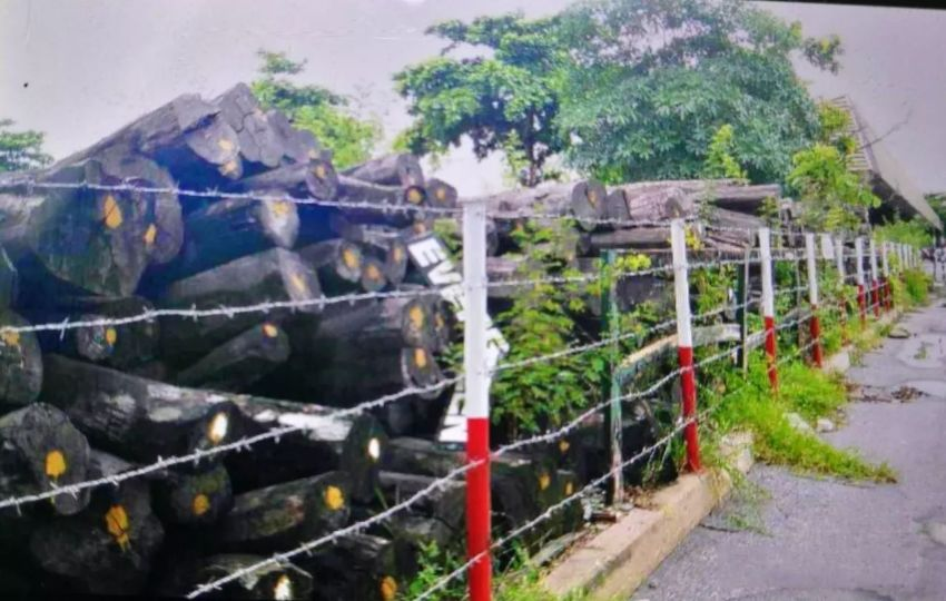 三大贡木之一的大红酸枝到底有多“贵”？看完你就知道了！