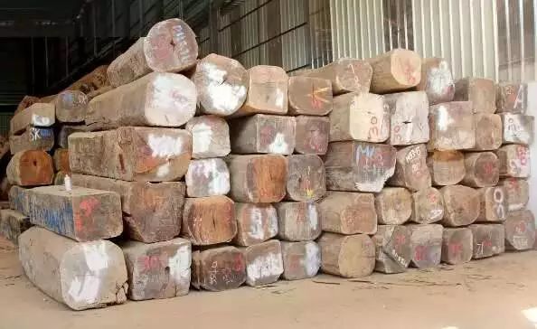 缅甸花梨被誉为“海南黄花梨的接班人"