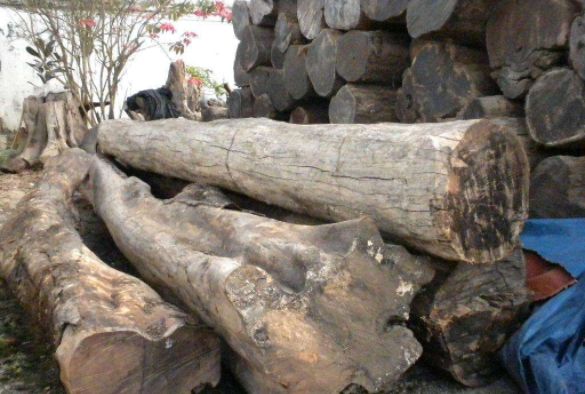 ​红木原材最新价格与行情走势周评（9月2-9月8）