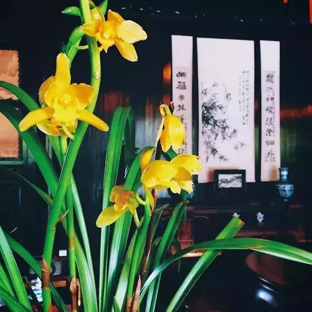 家中挂什么字画最适合，这些常识你要懂！