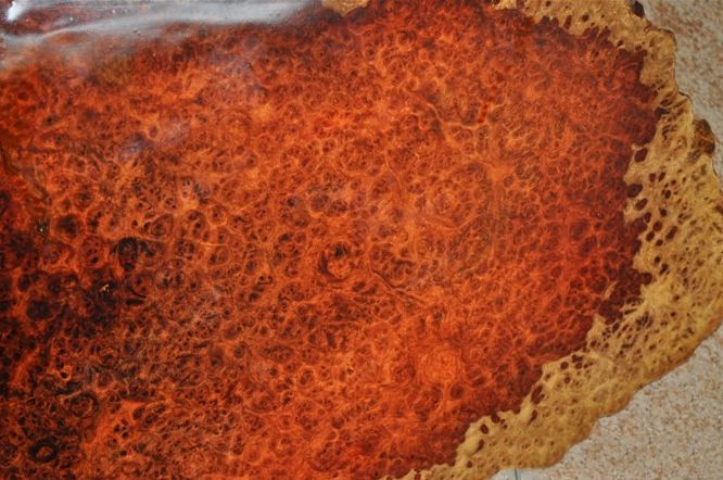 继承者——“大众女皇”缅甸花梨