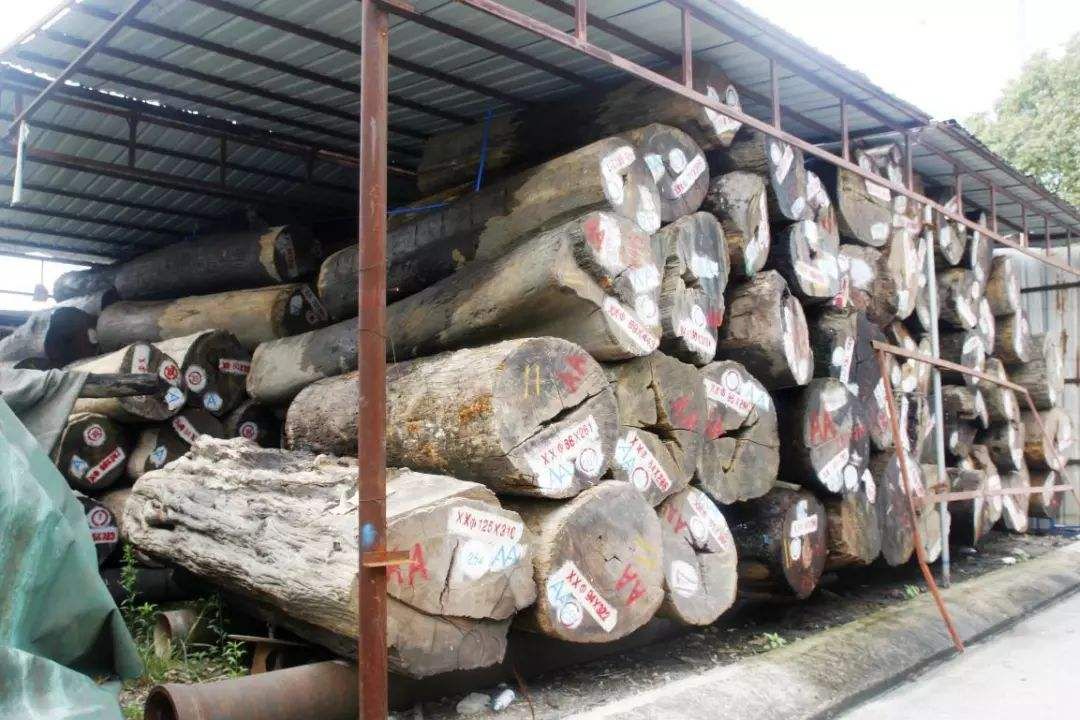 知识 | 缅甸花梨木的鉴别方法