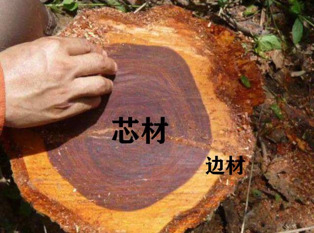 简单7招，快速破解红木家具掺白皮