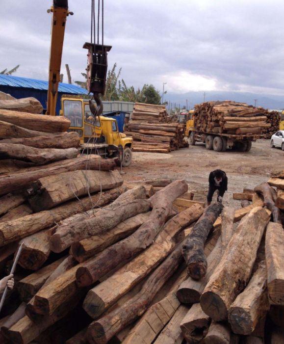 如果非要推荐一款平民红木，那就非缅甸花梨莫属了！