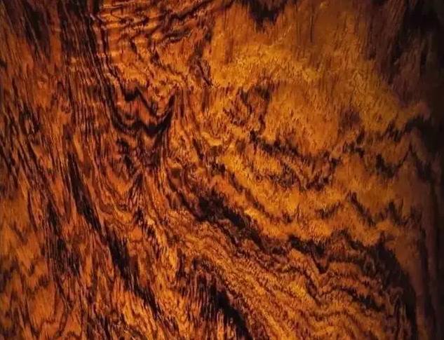 无奈！这些高端名贵木材，却要“靠脸吃饭”！！