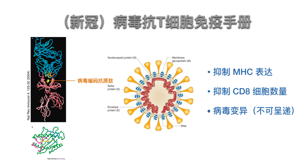 祁海详解新冠病毒免疫反应 颜宁 张文宏 曹彬等专家齐聚头脑风暴 返朴 财新博客 新世纪的常识传播者 财新网