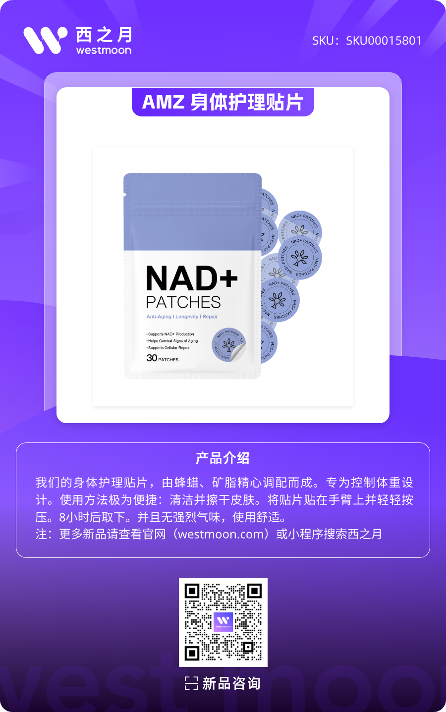 西之月新品推荐 | 第44期