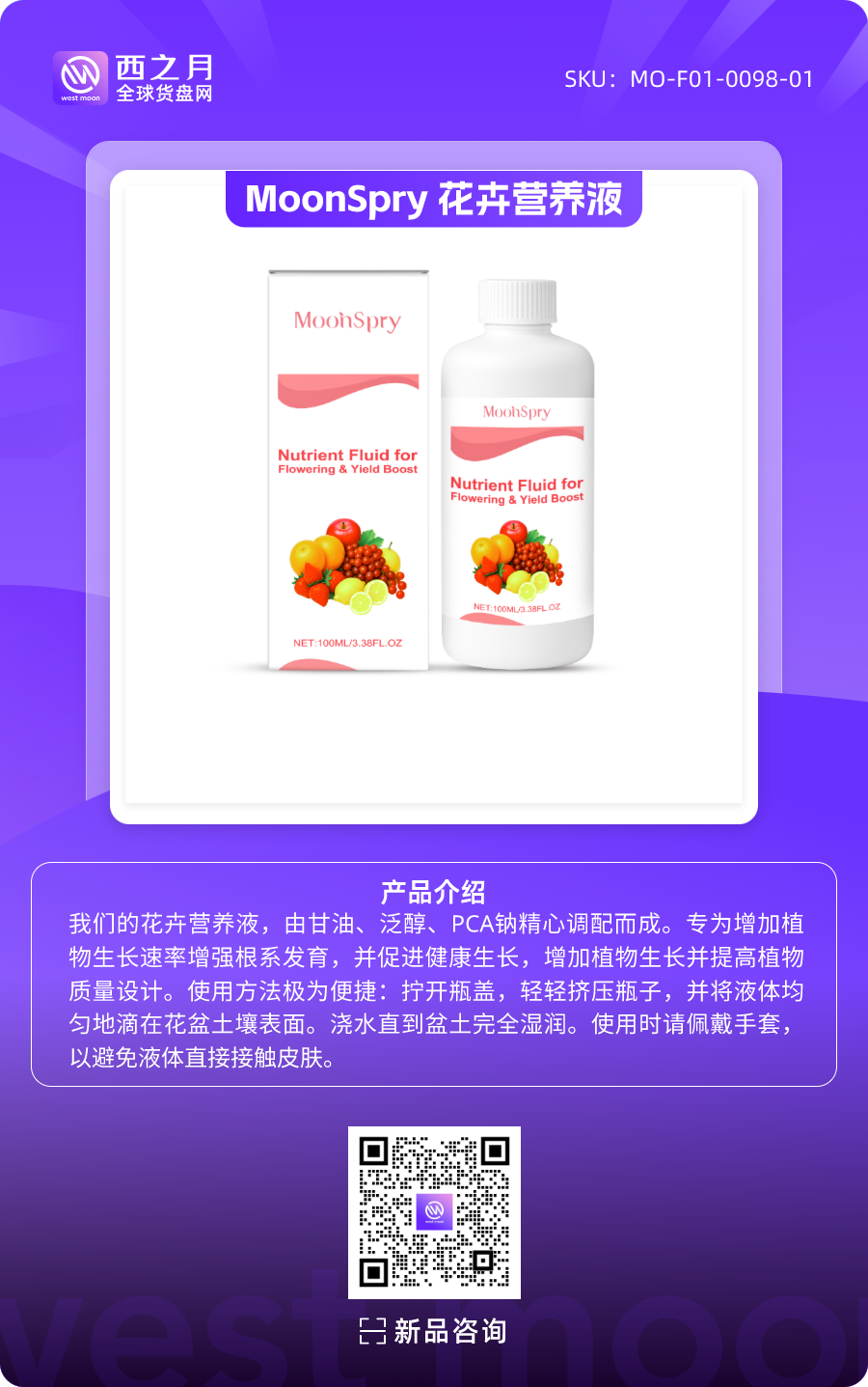 西之月新品推荐丨第3期