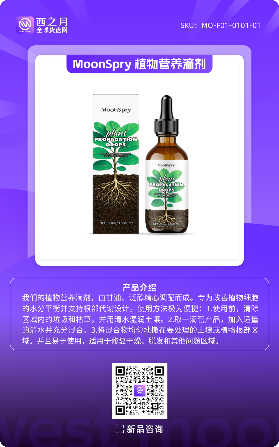 西之月新品推荐丨第6期