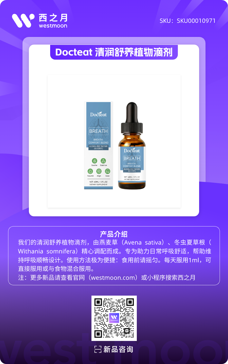 西之月新品推荐 | 第37期