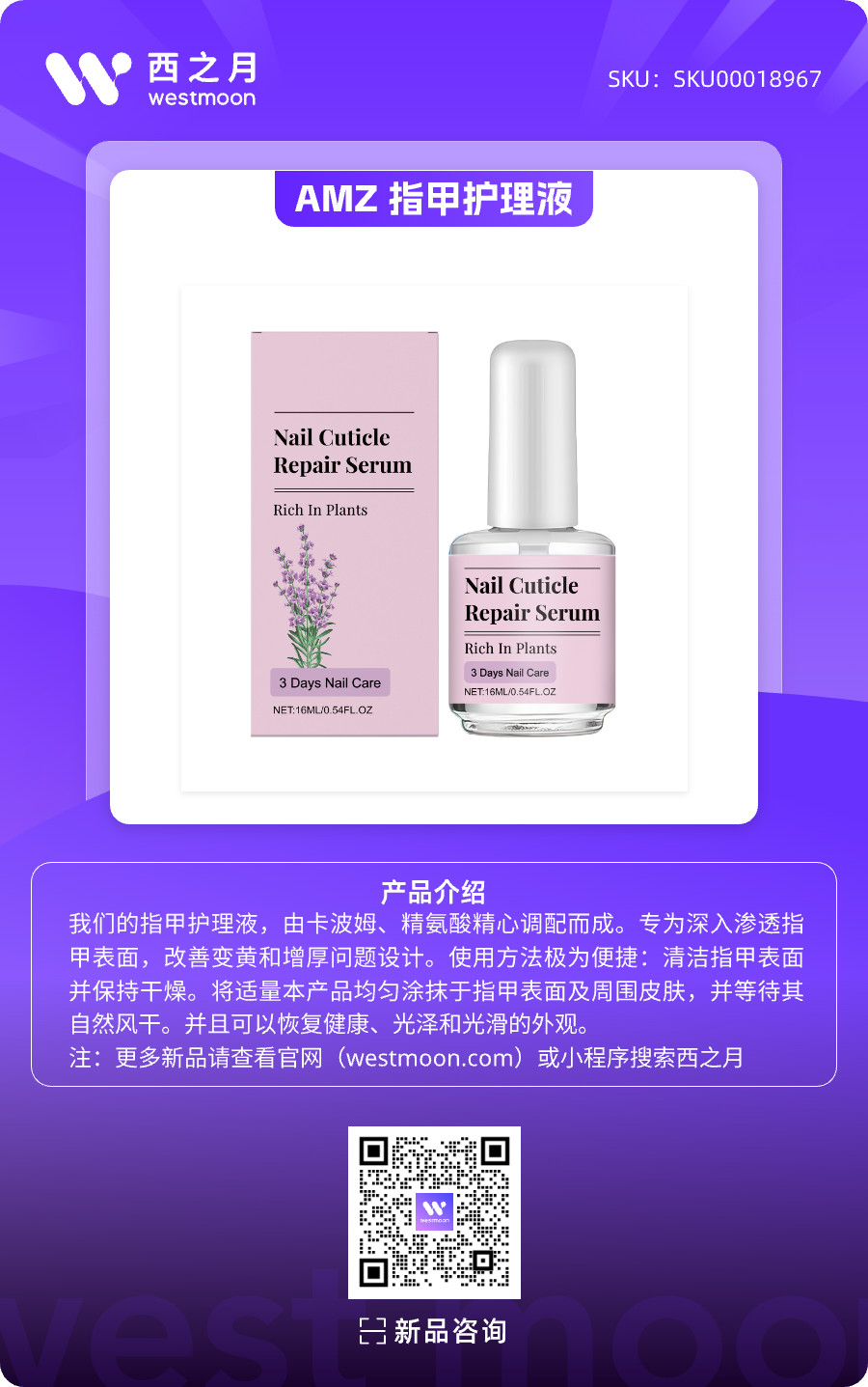 西之月新品推荐 | 第48期