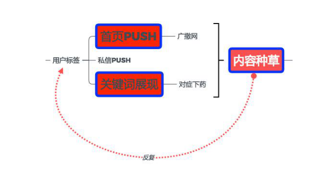 为什么你在小红书“种不好草”？