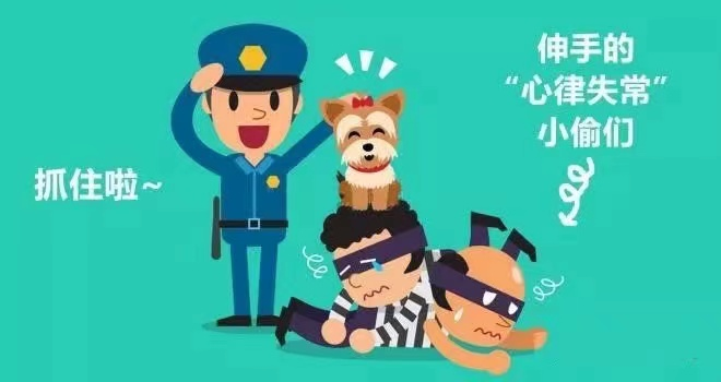 dms动态血压怎么使用【健康科普】“动态”虽小，大有“作为”——24小时动态心电图、动态血压检测_https://www.jmylbn.com_新闻资讯_第6张