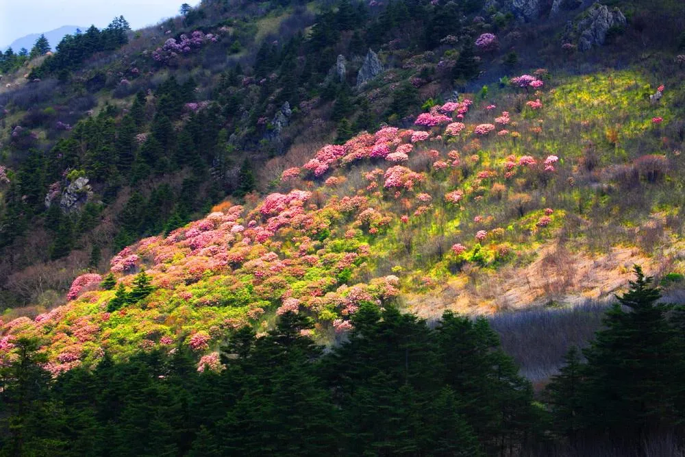 2024年06月16日 神农架天气