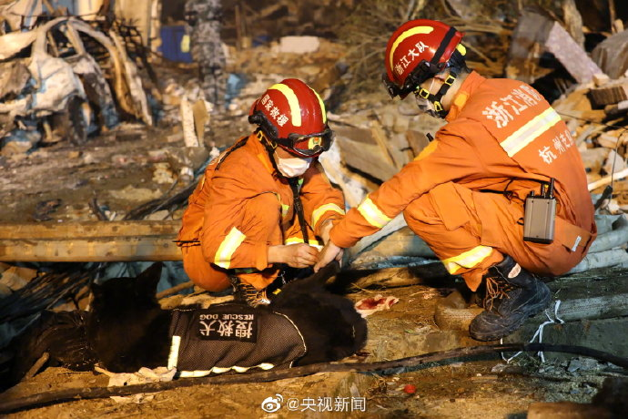 她叫圖圖，90歲了還在為人拼命。 寵物 第15張