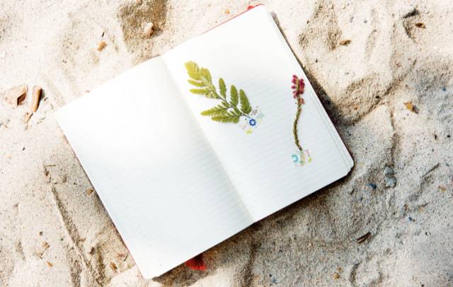 03 月亮与玫瑰 / 杜永利 2017.04 毕业季 / 王 莹 2017.