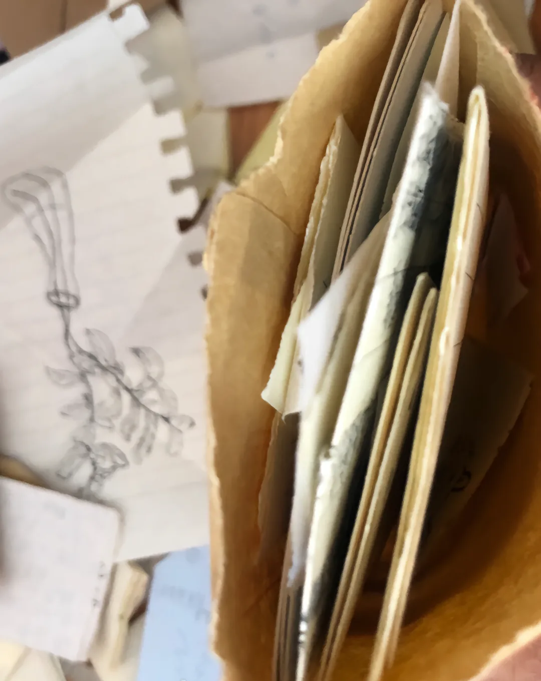 棠棣同馨顺颂时祺
