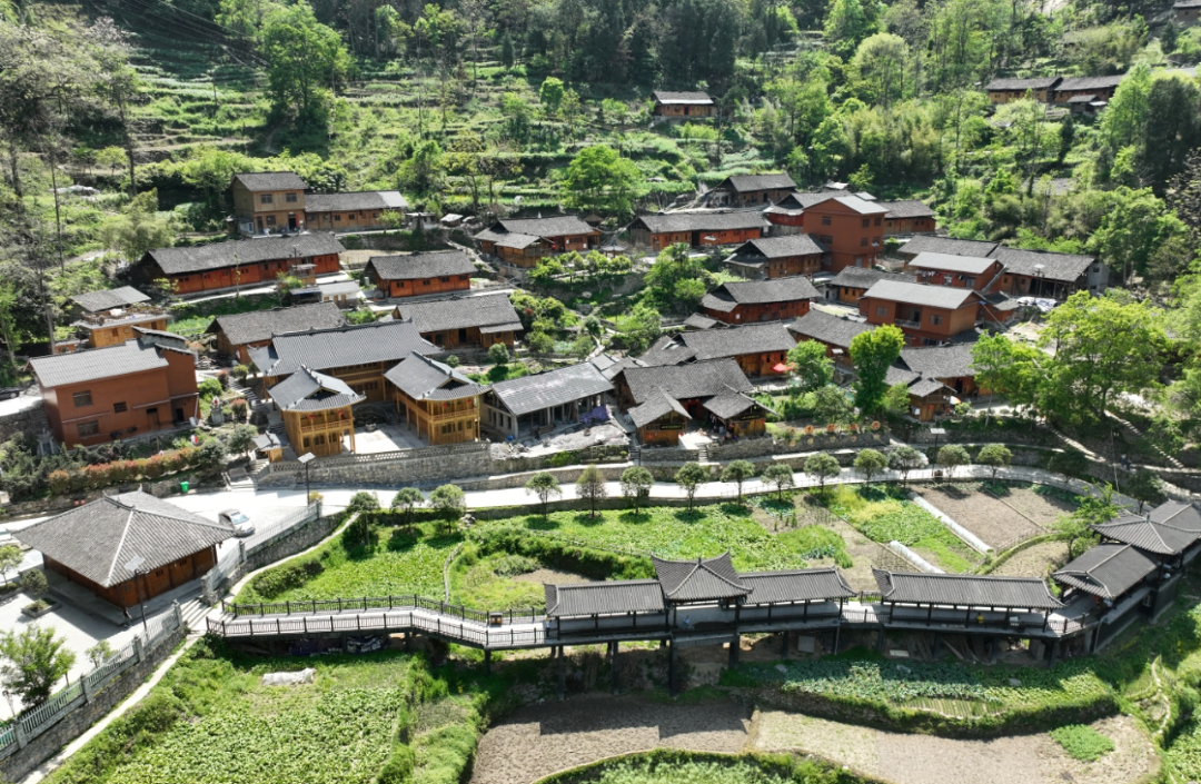 卫生家庭建设行动 | 德江县巾帼执笔共绘乡村新颜