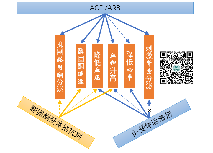 五張圖，掌握慢性心力衰竭用藥及流程 健康 第4張