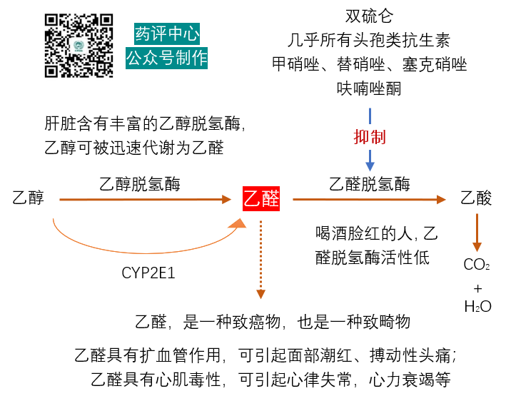 使用頭孢後，多長時間不能飲酒？飲酒後，多長時間才能使用頭孢？ 健康 第2張