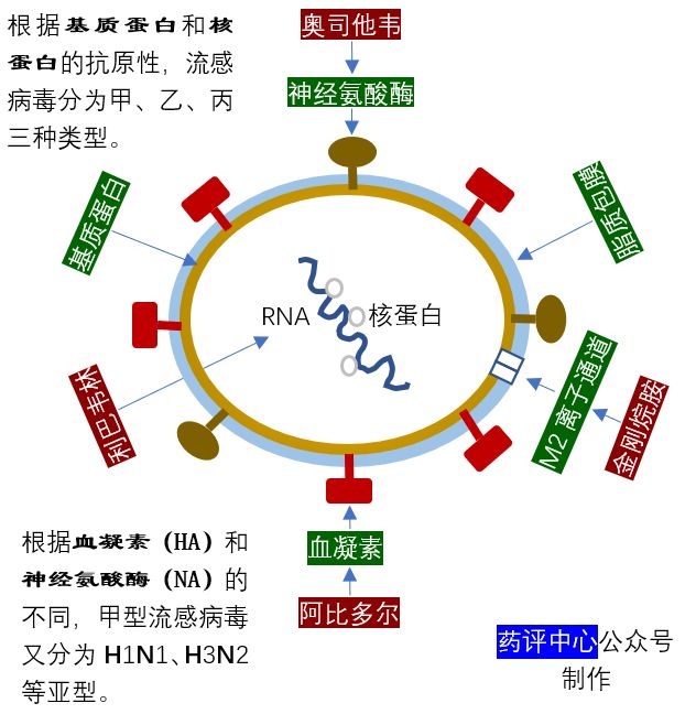 流感大潮來襲，國家衛健委點名了6種藥！ 健康 第4張