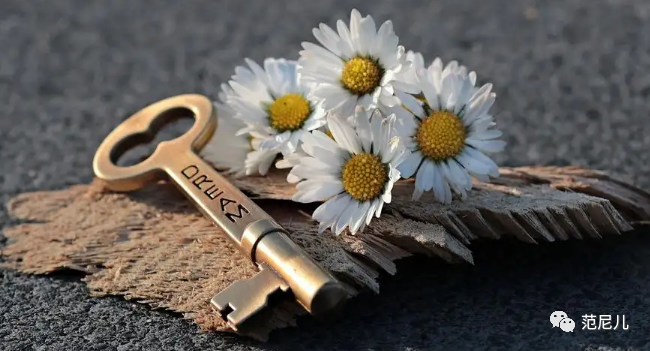 刮匙是什么药流吃什么有助排干净，不懂就要看_https://www.jmylbn.com_新闻资讯_第3张