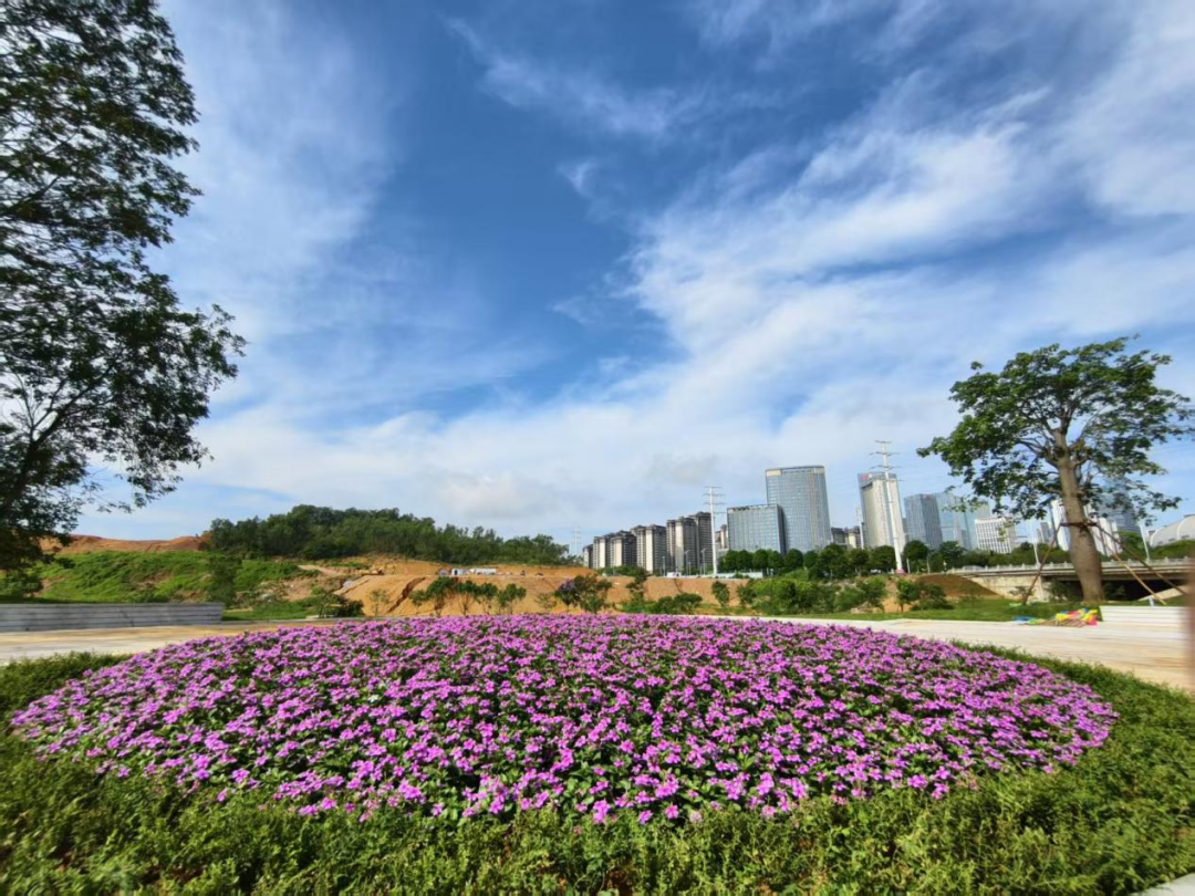 2025年06月24日南宁天气,中考遇闷热阵雨天，出行必备伞具