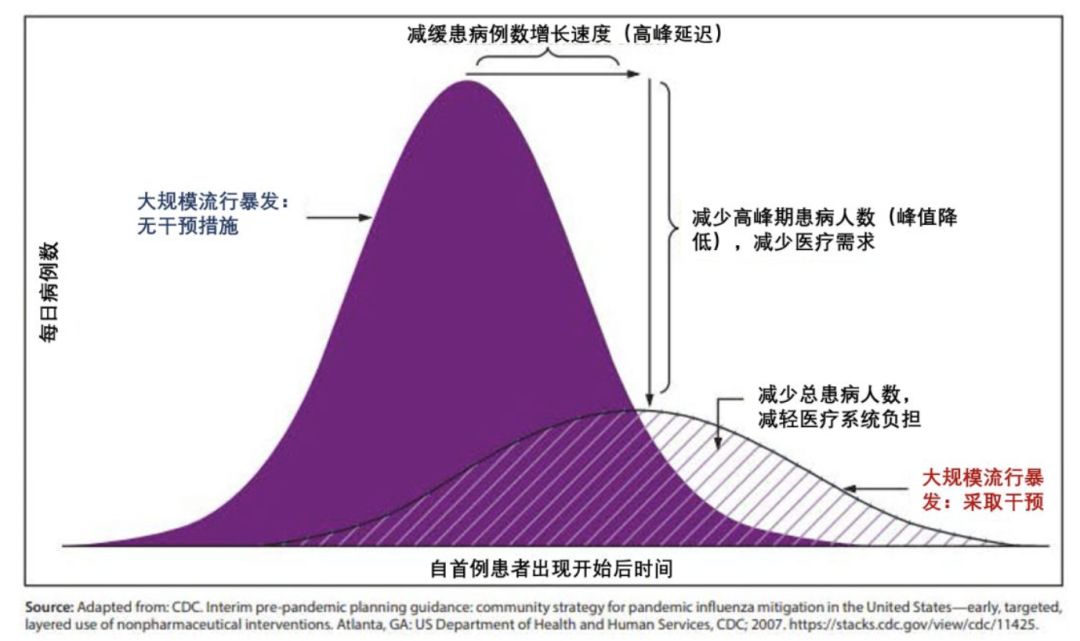 女王迁离伦敦，10万民众请愿！英国卫生大臣回应“群体免疫”：和你们想的不一样 ！（组图） - 6