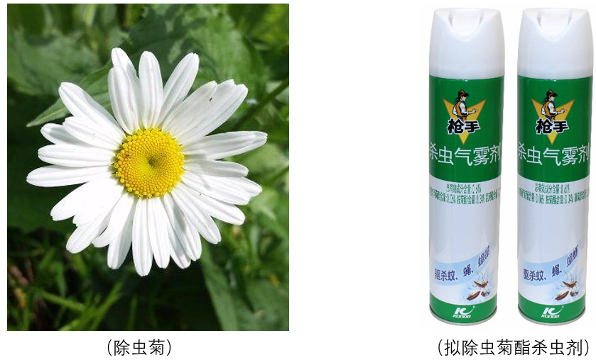 单质银为什么能抗菌可打印的笔记和讲义，高一第二册化学课堂实录(7)之大结局_https://www.jmylbn.com_新闻资讯_第24张